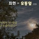 오동잎-최현 이미지