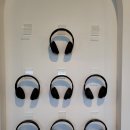 선인동 | 제주 엘피(LP)카페 로미뮤직하우스 내돈내산 후기