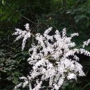 성수산자연휴양림 이미지