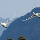 임기보건진료소 이미지