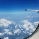 와라와라펜션 | 다시 돌아온 봄지의 하루일기