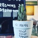 유정원카페 이미지