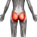 정성PT&운동센터 이미지