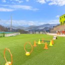 멍펜션4 이미지