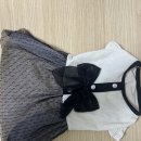 윤's뽑기 | 테무 강아지옷 내돈내산후기