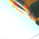 황소식당 이미지