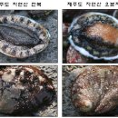 메옹이 이미지