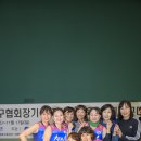 2019 대한민국배구협회장배 전국생활체육 4인제 배구대회 이미지