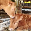 수명농장 이미지