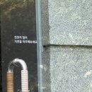미미화컬렉션 이미지