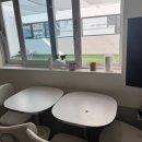 위드왈왈 이미지