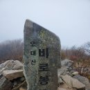 양지-3306 이미지