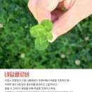 산골마당 이미지