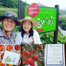 무주 반딧불산머루한우영농조합법인 | 무주 반햇소 한우고기 맛집 꽃등심 &amp; 꽃새우살 시식 리얼 후기