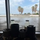 제주 공항 이호 테우 근처 감성 카페 진정성 종점
