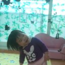 사랑빛태권도장 이미지