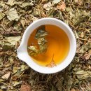 늘푸른 피부 이미지