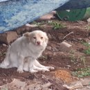 낙동북로 이미지