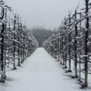 영주공인중개사사무소 이미지