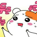 남해-남해-남해-비-7 이미지