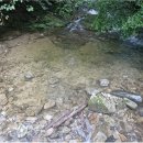 산음펜션 | 산음자연휴양림 우중캠핑