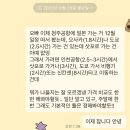 미짱돈짱
