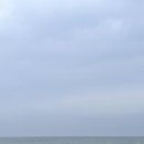미루네닭숯불구이삼화점 | 제주도 현지인 맛집 제주도 삼화지구 미루네닭숯불구이 삼화점 내돈내산
