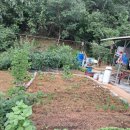 석적읍사무소 이미지