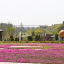 24.04.17. 진안 용담호 공원과 은산 인공습지 / 마이산 벚꽃길/ 예쁜은수사 이미지