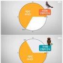 하실길 | 위고비 처방 + 마운자로 후기 식욕억제제 -14kg