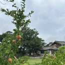 대부도한옥펜션 해솔 이미지