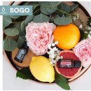 이스케이프B 이미지