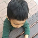 이게웬떡 이미지