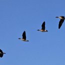 오정대공원 이미지