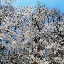 은혜병원 이미지