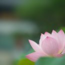 4403, 길 위에서 묻다.. 이미지