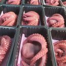 해녀언니네 이미지