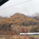 예림사우나 | 강원도 정선 힐링여행 '내돈내산' : 파크로쉬 리조트앤웰니스 (조식, 저녁, 요가, 자쿠지 수영장)