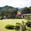 황토와 통나무 캠핑장 이미지
