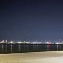 코끼리 만두 이미지