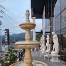 플로라 거창 이미지