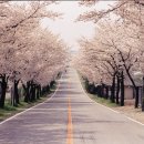 (주)삼안건설기술공사