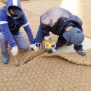 주차장약국 이미지