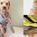 포항시남구59 이미지