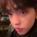 쿱스 이미지