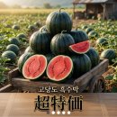 한방식품연구회 | 쿠팡에서 찾은 인생 흑수박 13브릭스 진짜배기 솔직후기 (ft. 단고을 단양 흑수박) 브릭스란? 맛있는...