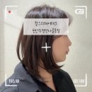 리 (Lee) 헤어 | 찰스리헤어테크 천안두정동먹자골목점 207 도은디자이너 식물성클리닉