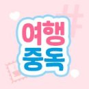 여행중독