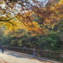 구례경로당앞 이미지