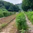 대광농원 이미지